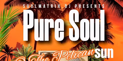 Pure Soul @ The Pelican 9 Hamm Moor Lane KT15 2SB