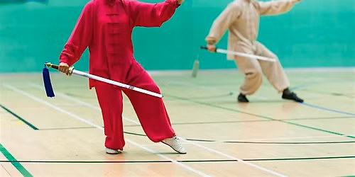 British Tai Chi and Pushing Hands  and Chinese Wrestling Championships 2025