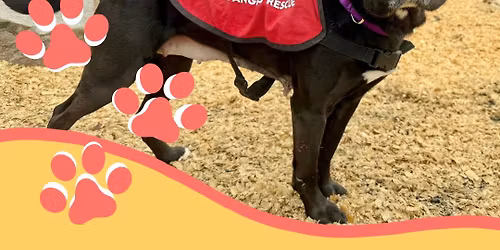 PFW Adoption Event
