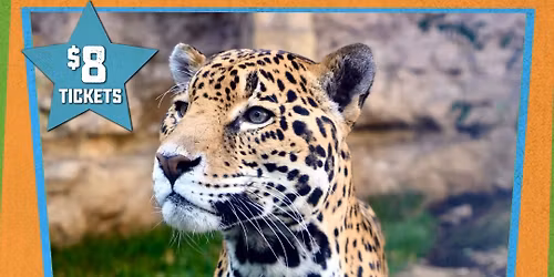 Locals Day Celebrating Precinct 1