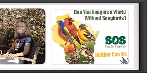 SOS Save Our Songbirds: Three actions people can take at home to help songbirds.