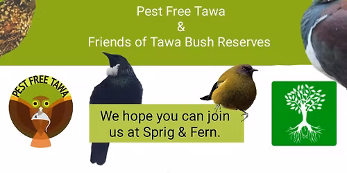 End of Year Celebration