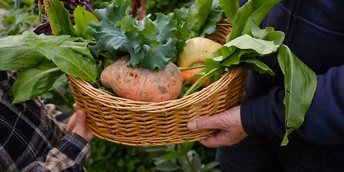 Spring Harvest: Eat Well, Feel Great