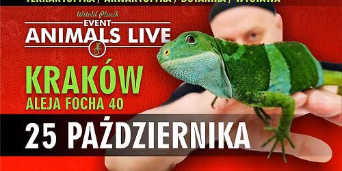 Animals Live KRAK\u00d3W - 25 Pa\u017adziernika 2026 Terrarystyka & Akwarystyka & Botanika