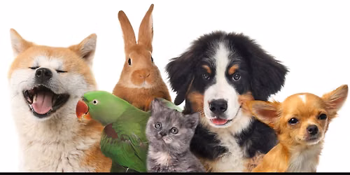 Blessing of the Pets