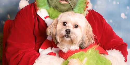 Here Comes the Grinch! Pro Pics from PicsforPupz