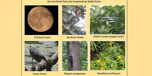 Van Cortlandt Nature Group Walk