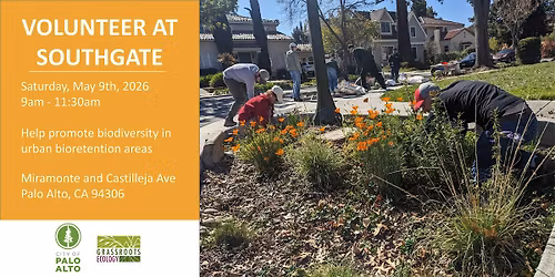 Volunteer Outdoors in Palo Alto: Bioretention Area Maintenance at Southgate