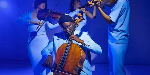 chamber series - testimonies