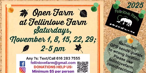 Track Tommy Turkey at Fellinlove Farm