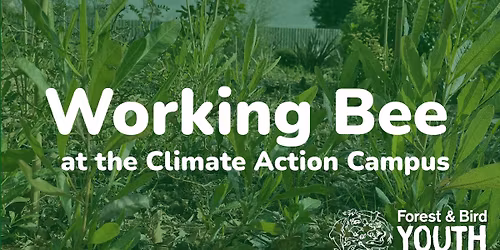 Working Bee at the Climate Action Campus