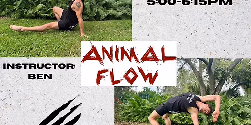 Animal Flow