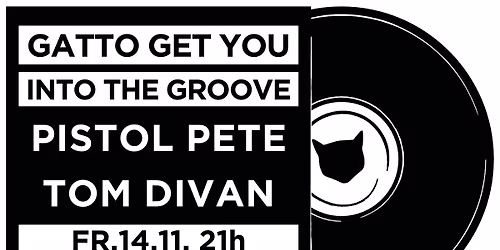 Gatto get you into the Groove