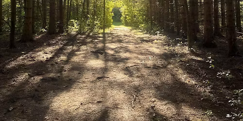 Forest Therapy at FA Seiberling Nature Realm