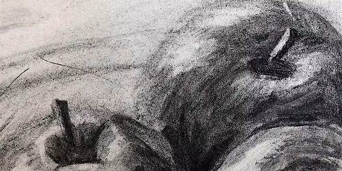 Spring Term 2026 - Introduction to Drawing Short Course
