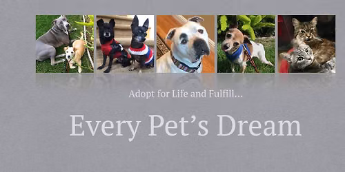 Every Pet's Dream Adoption Event @Pup Plaza