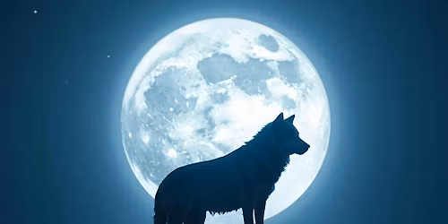 Wolf Moon Sound Bath