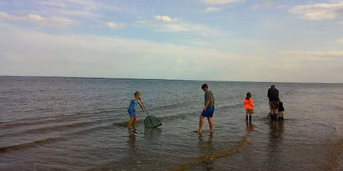 Sea Dipping