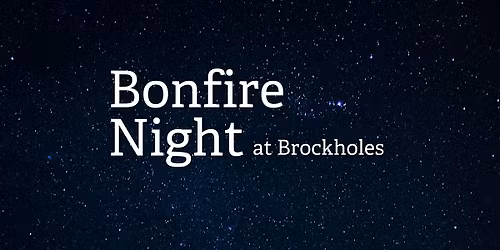 Wildlife Friendly Bonfire Night at Brockholes (dog friendly)