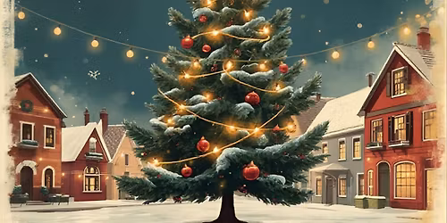 Christmas Lights Switch-on