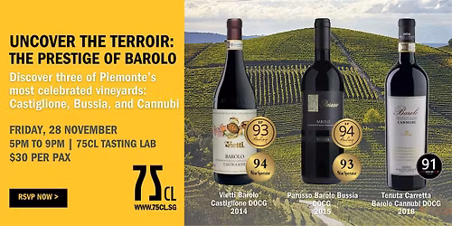 Uncover the Terrior: The Prestige of Barolo