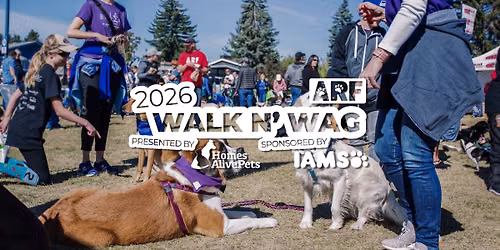 Walk N' Wag 2026