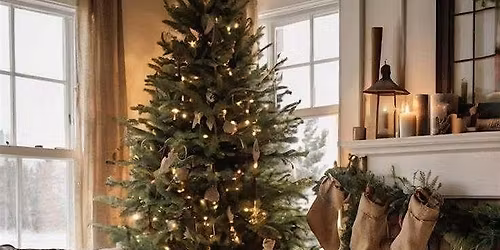 Timeless Cozy Christmas Minis \u2013 Mooresville, NC