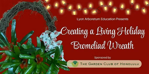 Creating a Living Holiday Bromeliad Wreath