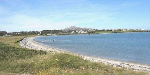 Penrhos Beach Clean