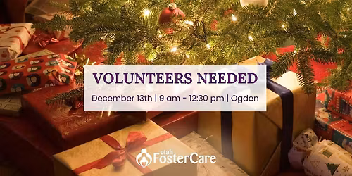 Volunteers for Utah Foster Care Northern Region Shindig