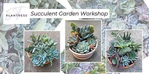 Succulent Garden Workshop