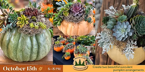 Create your own Pumpkin Succulent Class