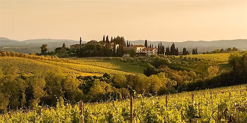 Uncorked: A tour of TUSCANY