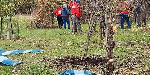 Honeysuckle Hack at Creve Coeur Soccer Park