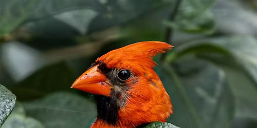 Nature & Photography Walk at Dodge Park