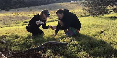 Rotorua Forage fun!