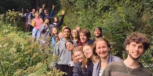 Autumn Sunday: Forest walk and vegan roast