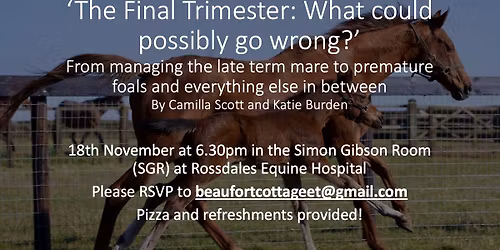 Stud & Stable Talks: The Final Trimester