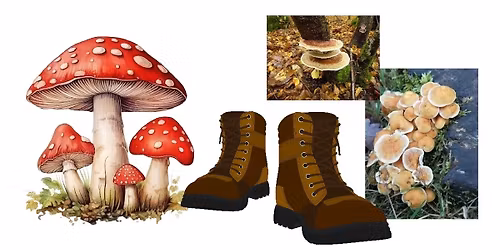 Fabulous Fungi Walk - Fully Booked