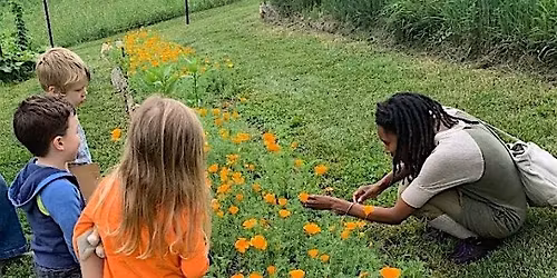 Intergenerational Wild Food Walk + Kids Free Play with Alecks Moss