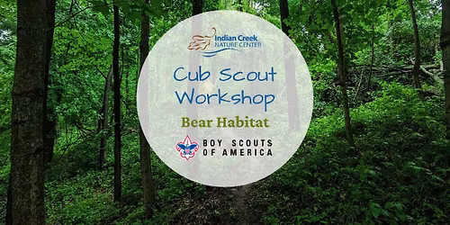 Cub Scout Bears Workshop: Bear Habitat