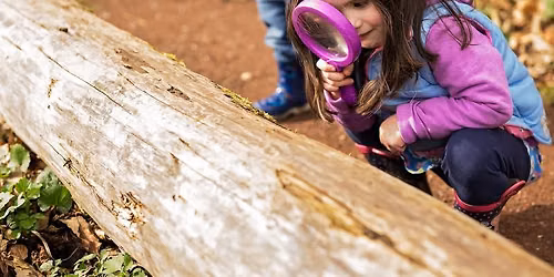 Little Bugs Club at Summer Leys