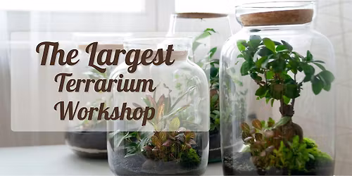 Largest Terrarium Workshop at Incendiary Brewing