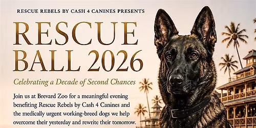 Rescue Ball 2026 Celebrating a Decade of Second Chances