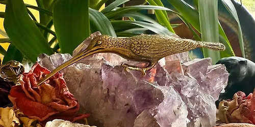 HUMMINGBIRD \u2014 Following the Path of Joy