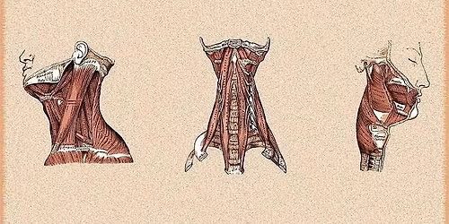 TechDoctor+\/ You're an innovator in healthcare