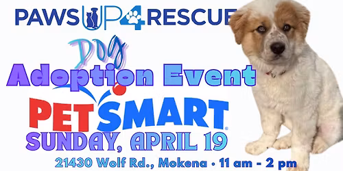 Double Adoption Event - Petsmart