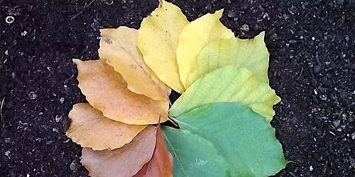 Abberton Autumn Adventure