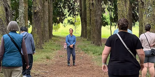 Guided Walk: Forest Bathing