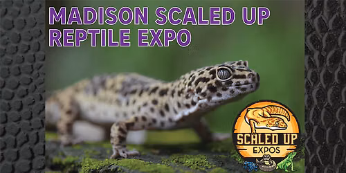 Madison Scaled Up Reptile Expo 06-28-2026
